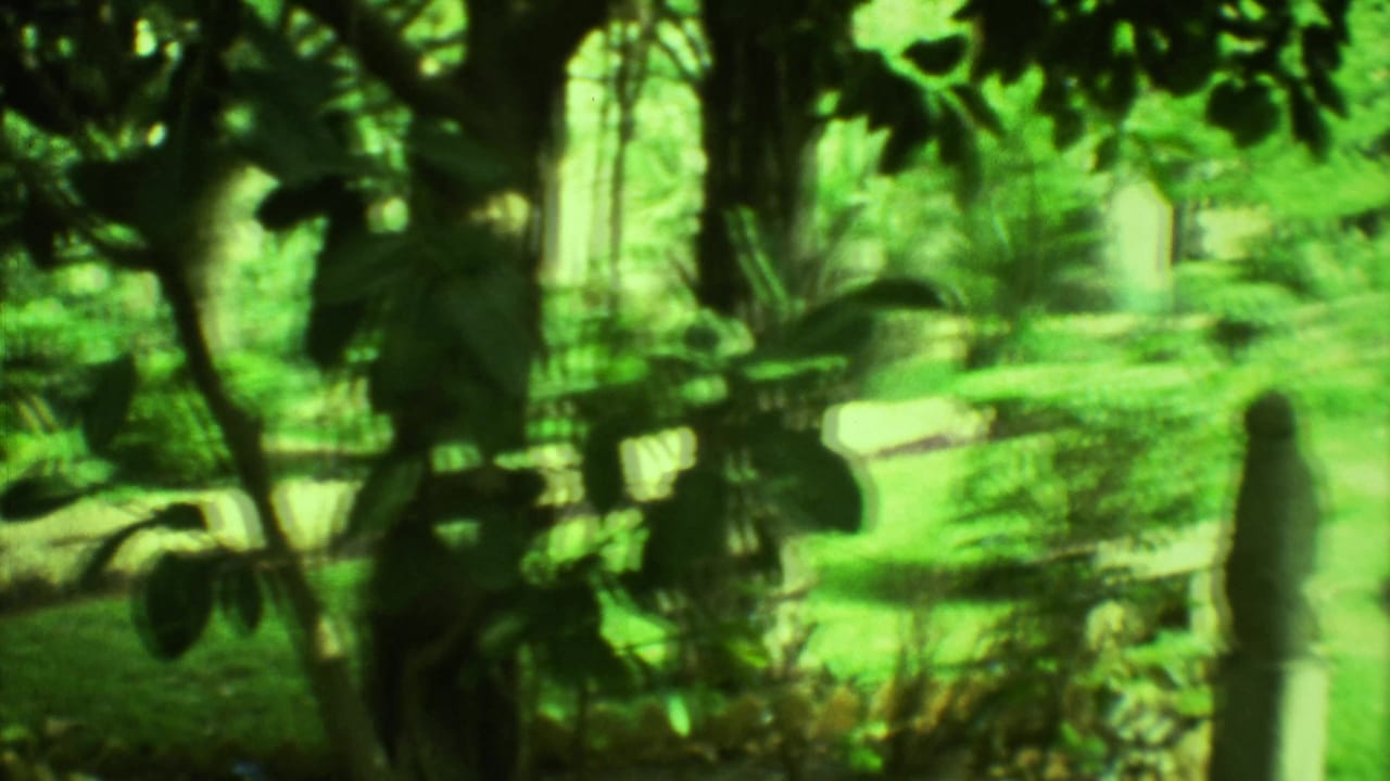 Soft green garden view with overhanging leaves, a path, hedges, and a pale stone figure.