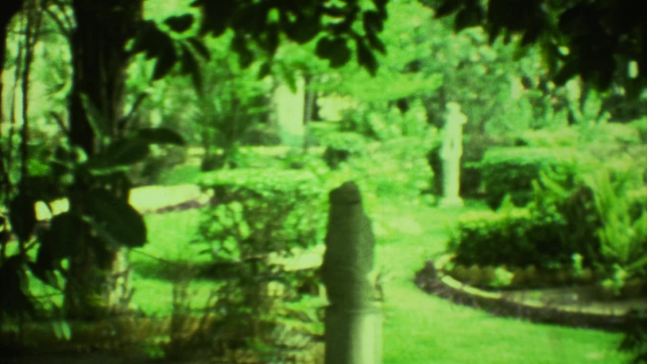 Bright garden scene with a curved path, shrubs, dense plants, and a pale statue in the distance.