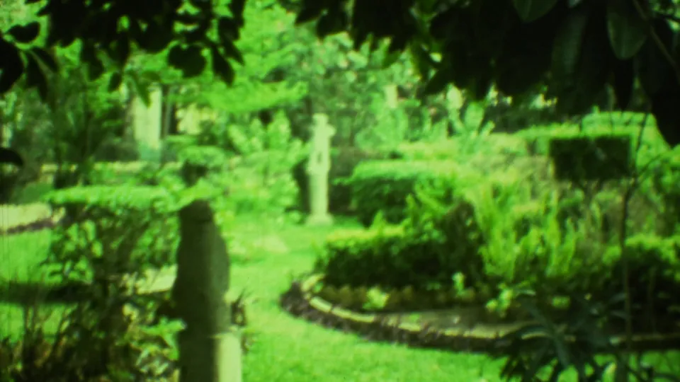 1973 8mm frame from Yucatan with heavy green cast, showing a leafy garden bed, clipped shrubs, lawn, and pale stone garden figures.