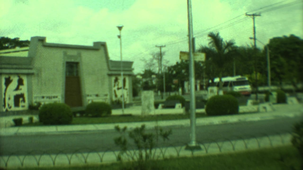 Quiet street with a yellow domed building, white van, streetlights, shrubs, and palm trees.