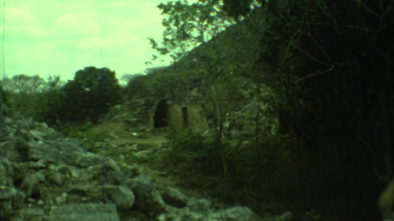 Stone ruin with arched opening, rubble, trees, and overgrown vegetation.