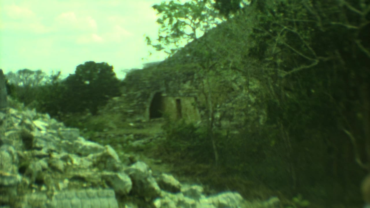 Stone ruin wall and doorway partly framed by trees and rocky ground.
