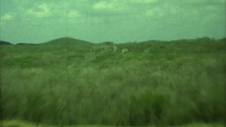 Soft 8mm frame of Yucatan scrubland and low hills, with motion blur and a green cast from the 1973 home movie.