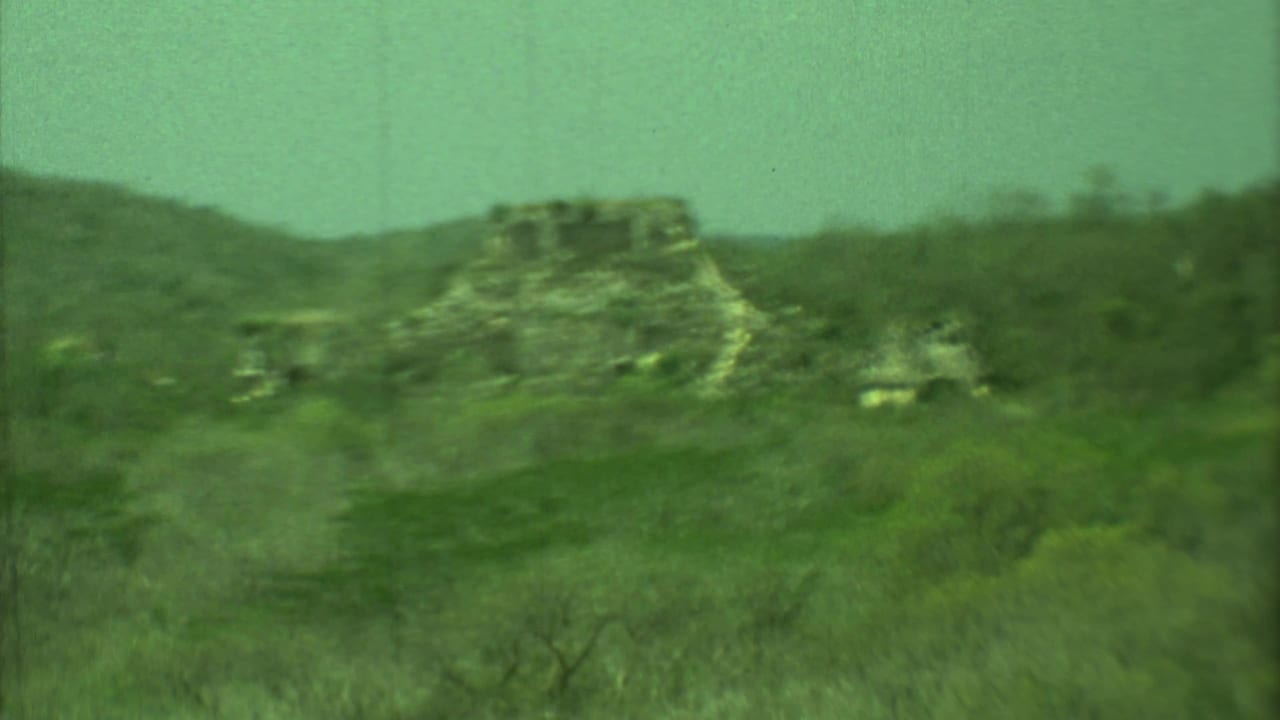 Vintage 8mm view of a stone ruin in Yucatan, partially obscured by jungle vegetation and handheld blur.