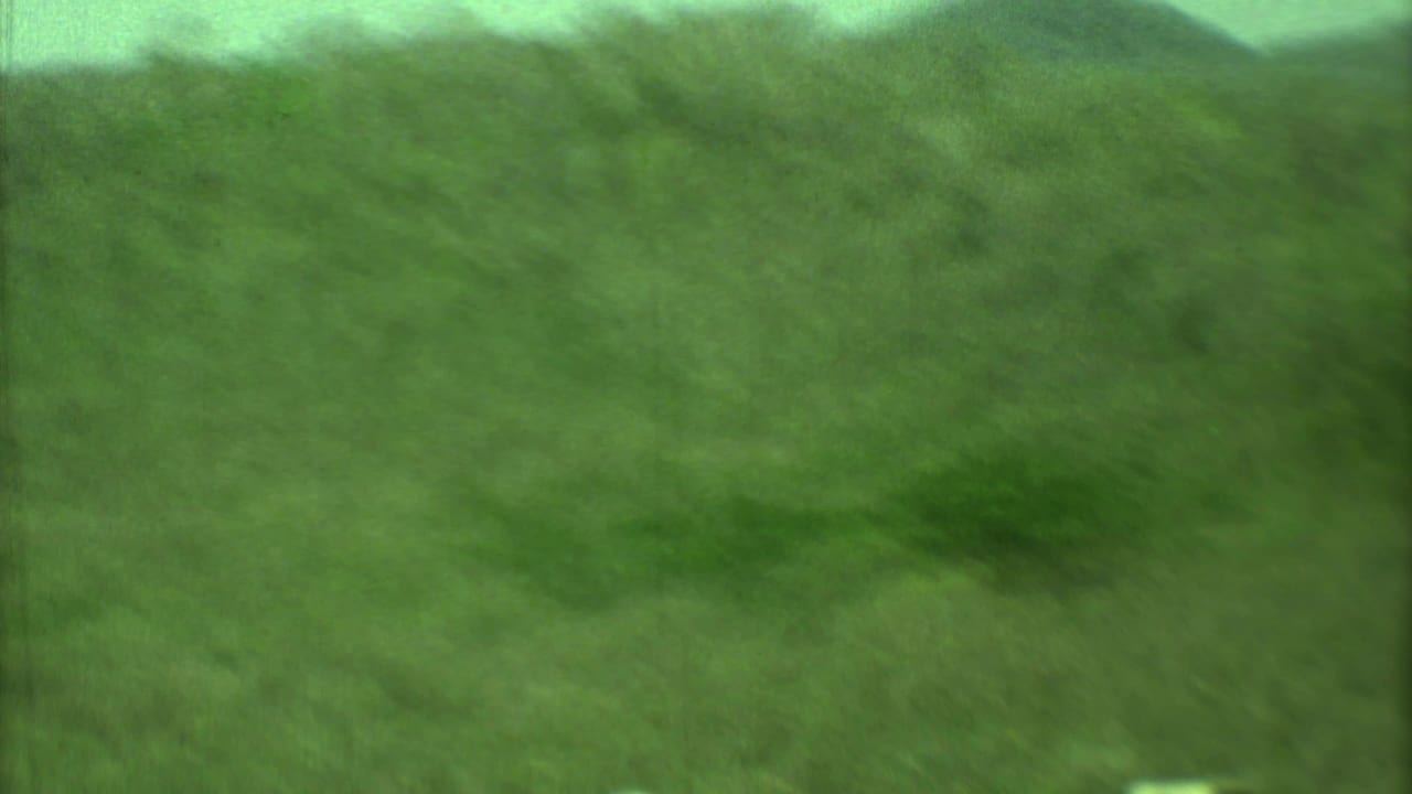 Blurred green hillside and vegetation under a pale bright sky.