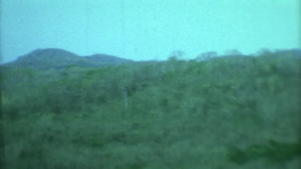 Distant low hills and scrubland in Yucatan, Mexico, recorded on soft, green-tinted 8mm footage from 1973.