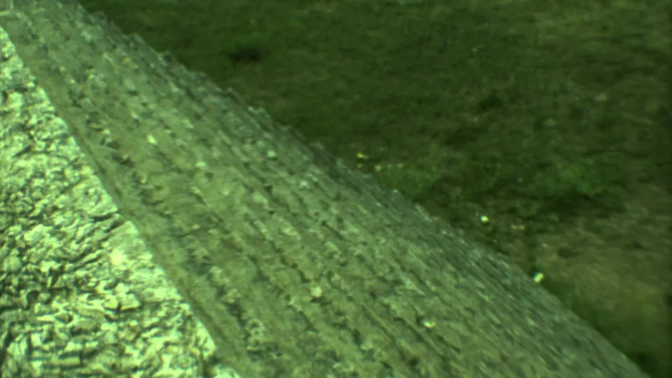 1973 Yucatan 8mm frame showing steep weathered stone steps rising beside green grass and rough masonry.