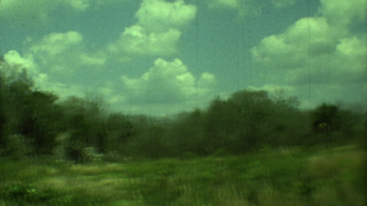 Soft green landscape with trees, brush, grasses, and cloudy sky.
