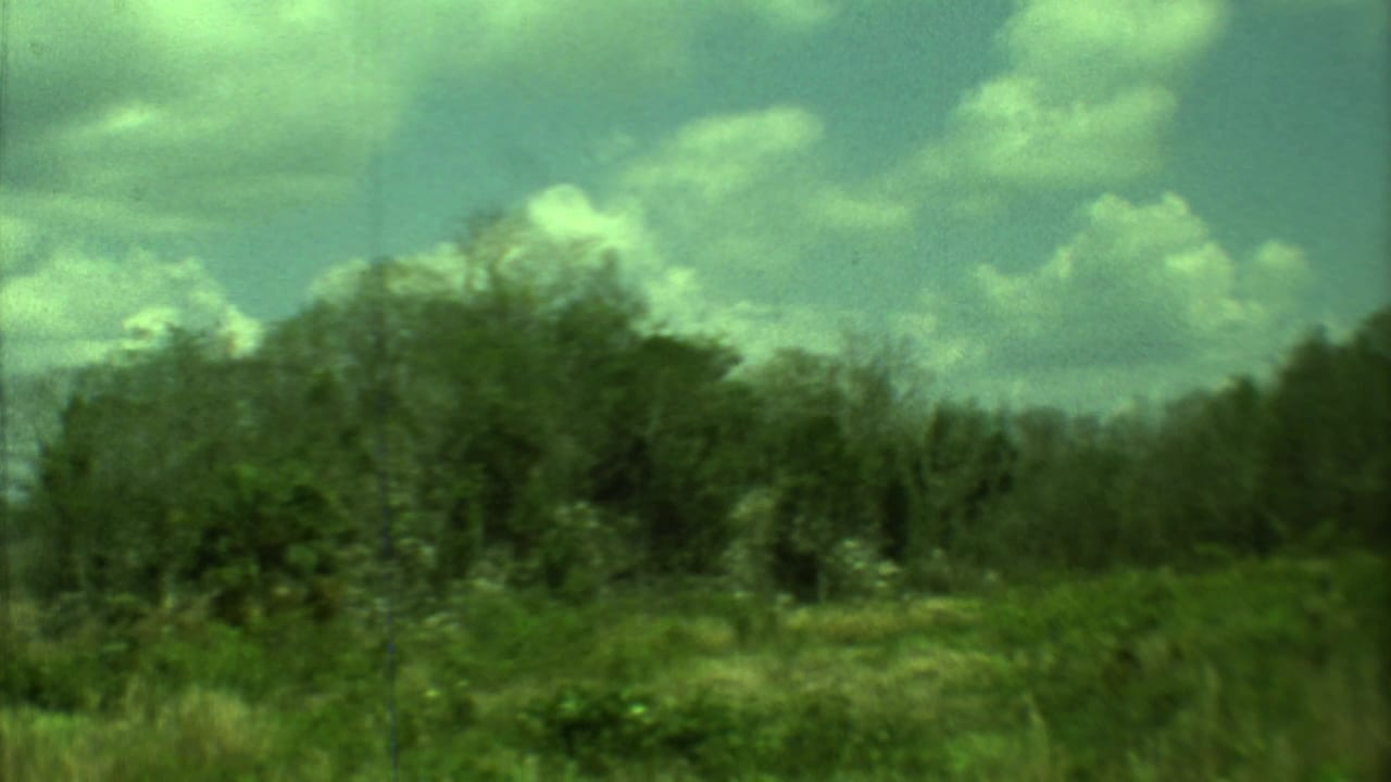 1973 Yucatan home-movie frame showing thick green trees and roadside growth beneath scattered clouds.
