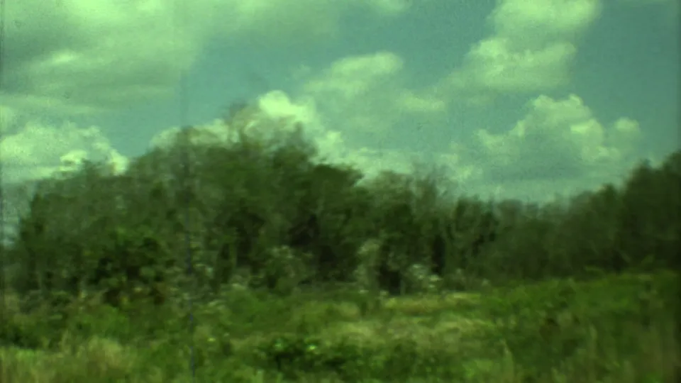 1973 Yucatan home-movie frame showing thick green trees and roadside growth beneath scattered clouds.