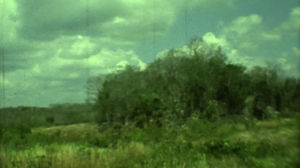 8mm Yucatan travel view with tall grass, thick shrubs, distant tree line, and cloudy sky in a green-tinted scan.