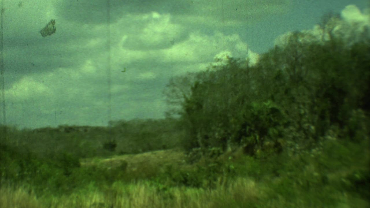 Dense trees and a low distant landscape beneath a cloudy sky.