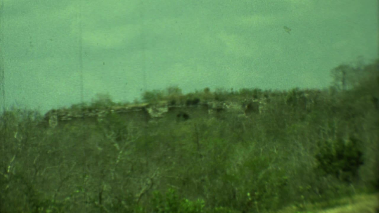 Soft green-tinted view of trees and a low stone structure near an archaeological site.