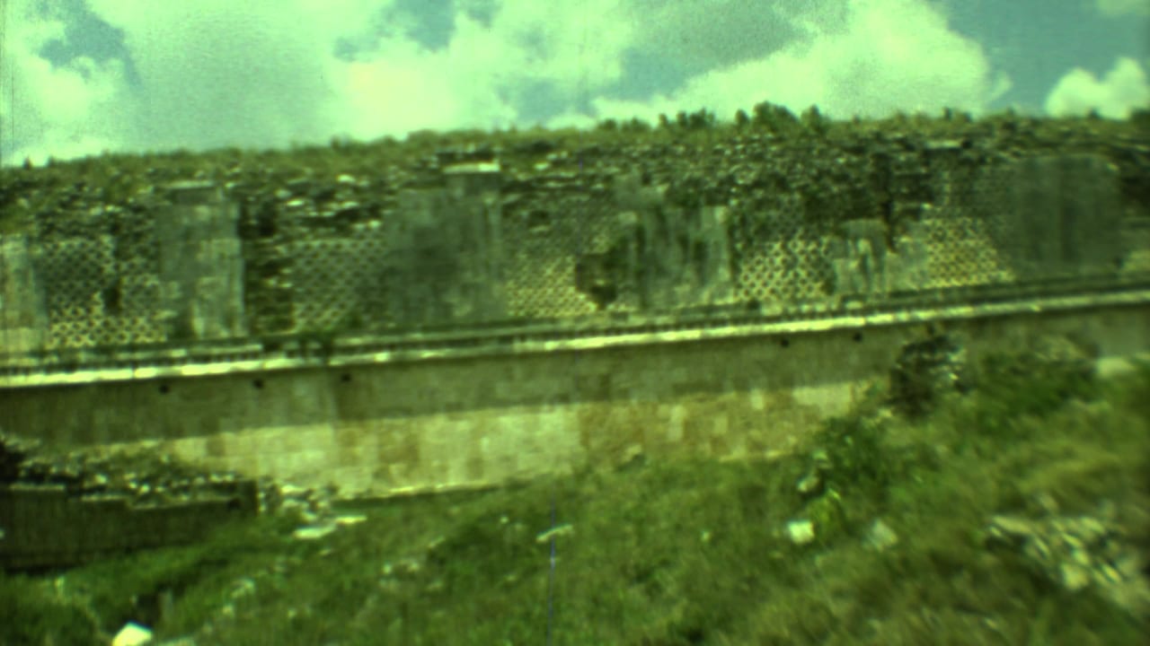 Stone ruins with patterned openings behind blurred foreground vegetation.