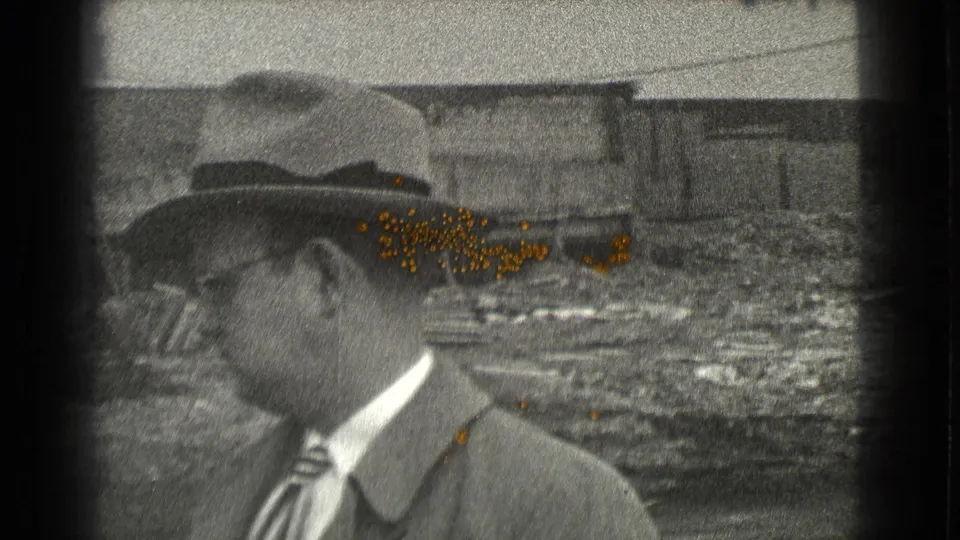 The 1939 Cleveland 8mm frame shows the suited man looking downward as insects cluster along his fedora brim and near his neck.