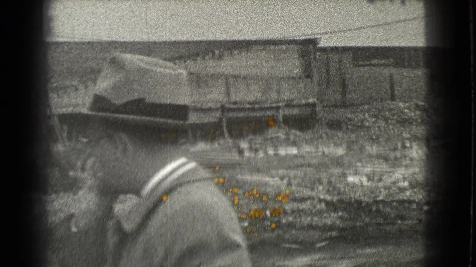 Near the end of the Cleveland clip, the man is partly cropped and blurred while insects remain visible around his hat and shoulder area.