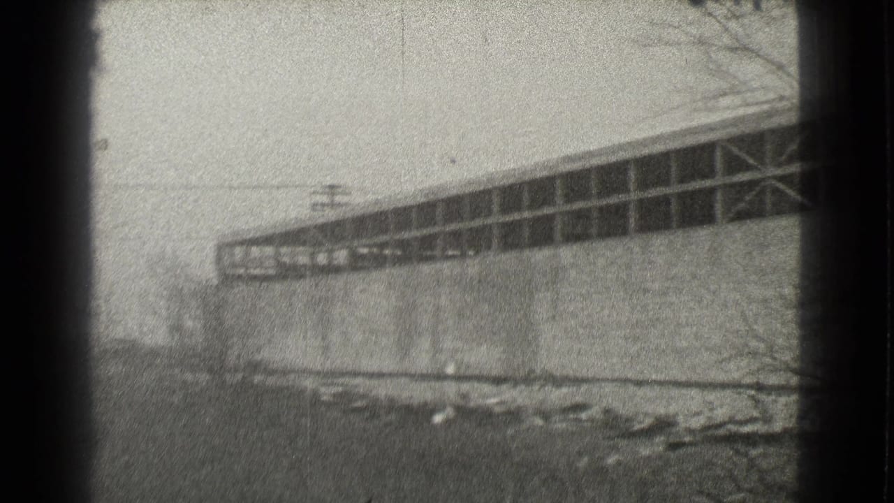 Grainy black-and-white view of a brick warehouse wall with high windows and bare trees.