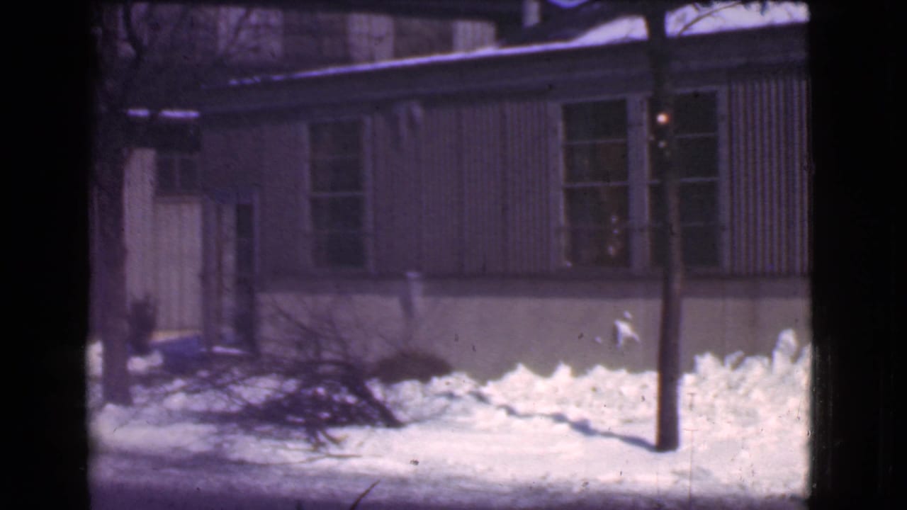Snowbank and residential facade with bare branches and utility pole.