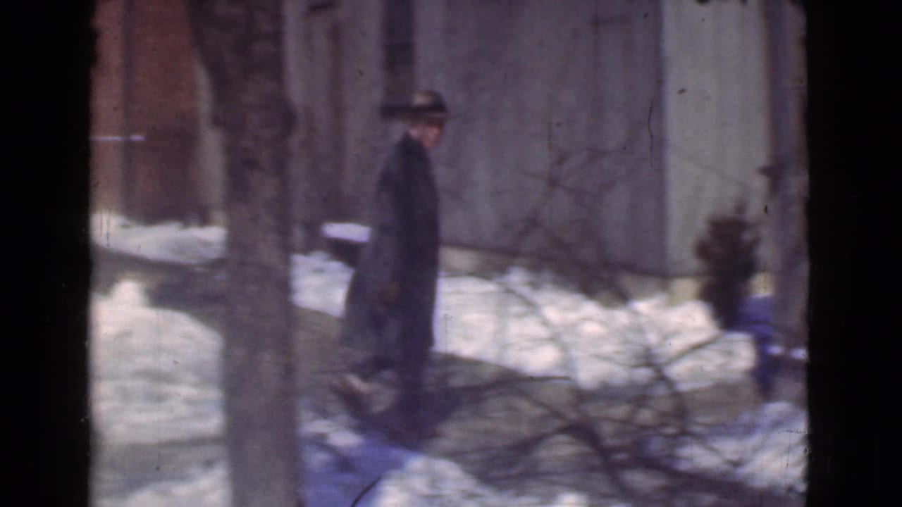 Man in a dark coat and hat walking beside a snowy street and bare trees.