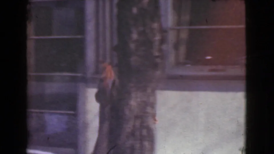 In the Cleveland home-movie frame, the man in a suit passes near a tree trunk and building windows.