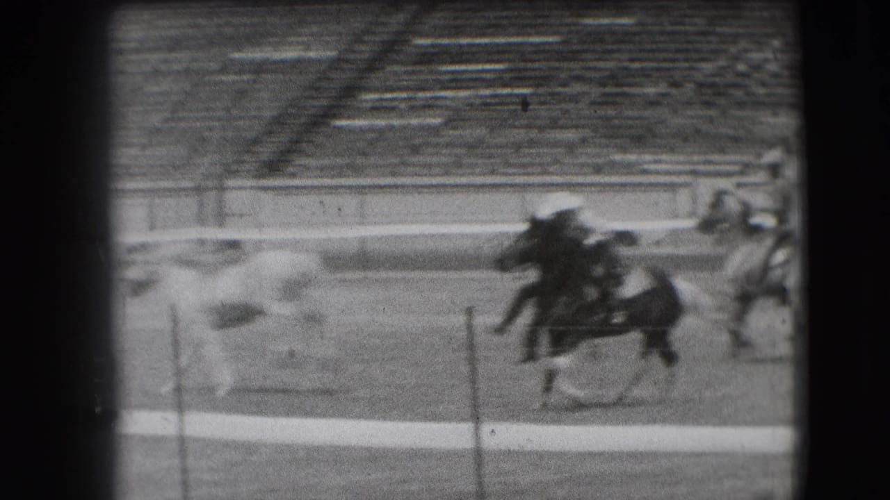 Two horses run along the track while a rider or figure appears down near the rail.