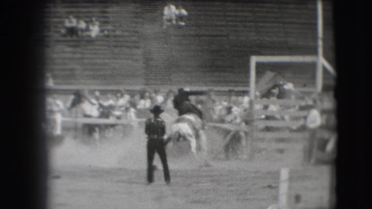Bucking horse and rider near an arena official as spectators watch from bleachers.