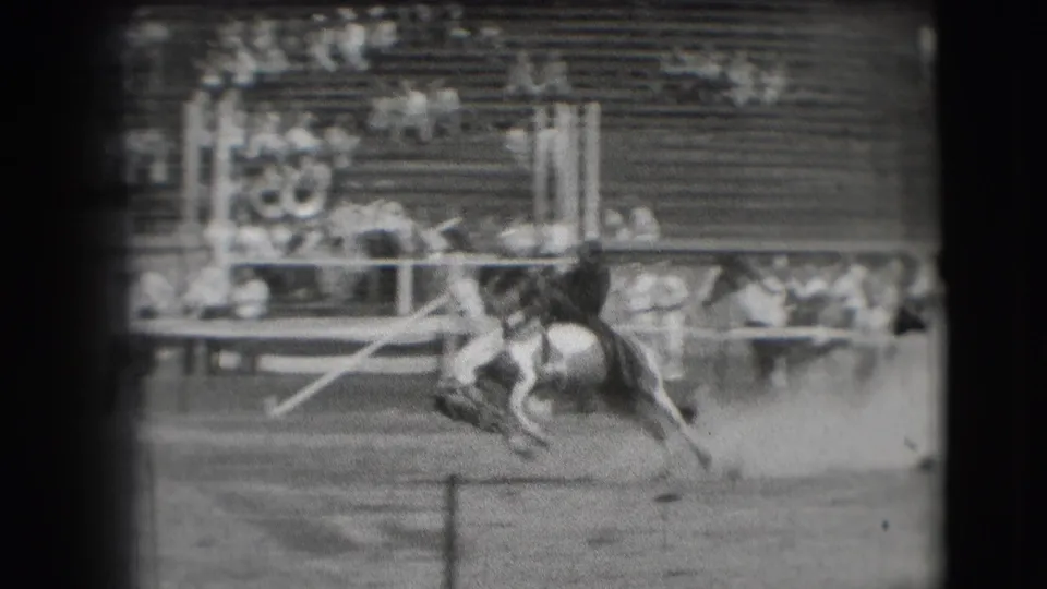 A cowboy rides a bucking horse across the Denver rodeo arena, framed by rail fencing, dust, and seated spectators.