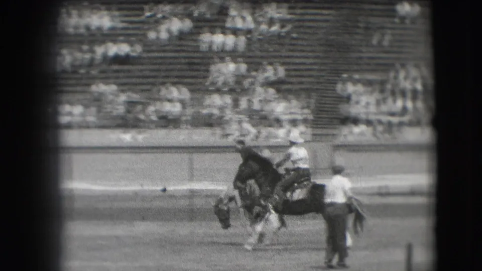 A rider in the Denver rodeo arena appears to hold on as a bucking horse pitches forward, with seated spectators in the background.