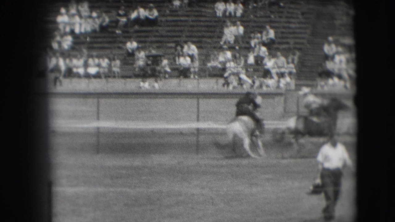 A rider on a light horse moves near the arena rail as a man crosses the foreground.