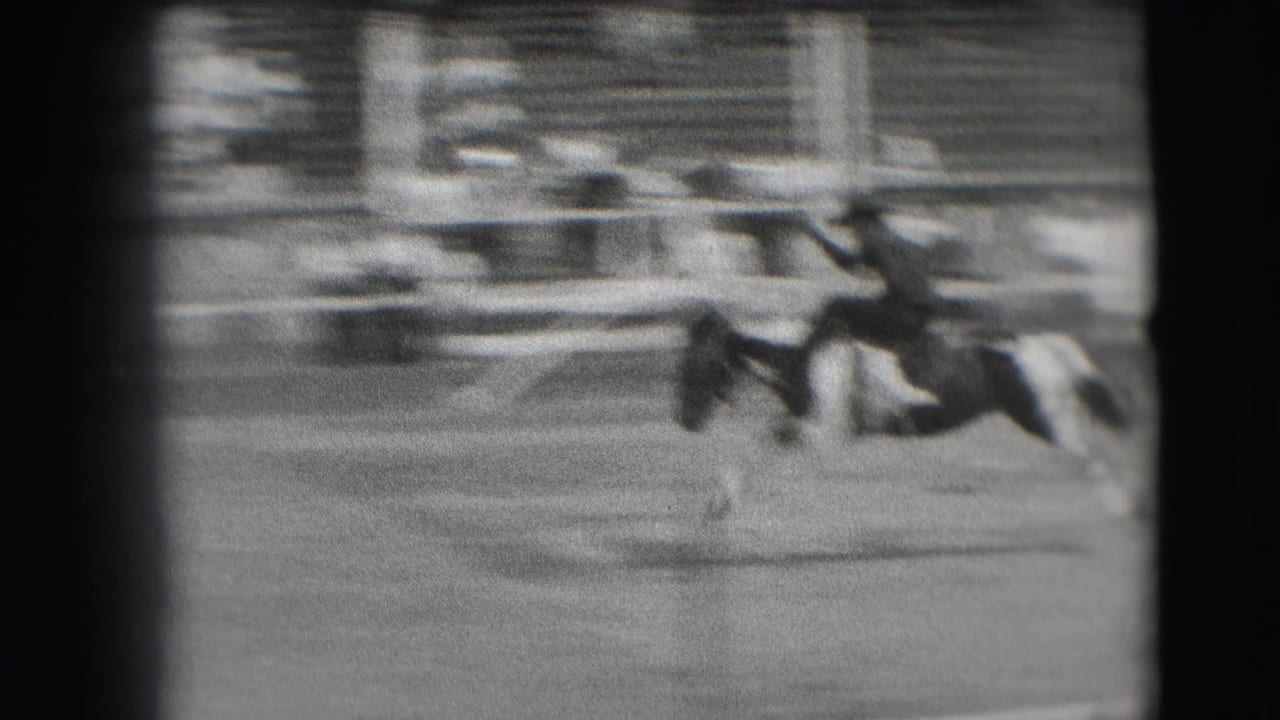 A cowboy remains seated on a bucking pinto horse in the rodeo arena, with the crowd and rail visible behind.
