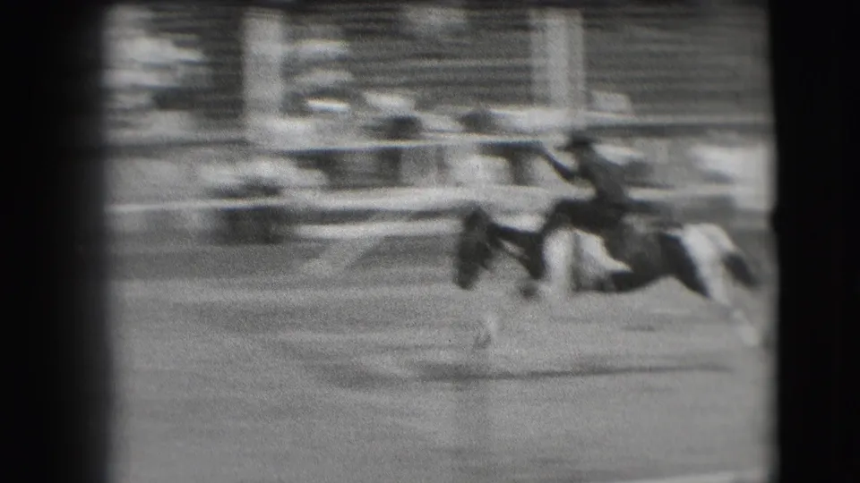 A cowboy remains seated on a bucking pinto horse in the rodeo arena, with the crowd and rail visible behind.