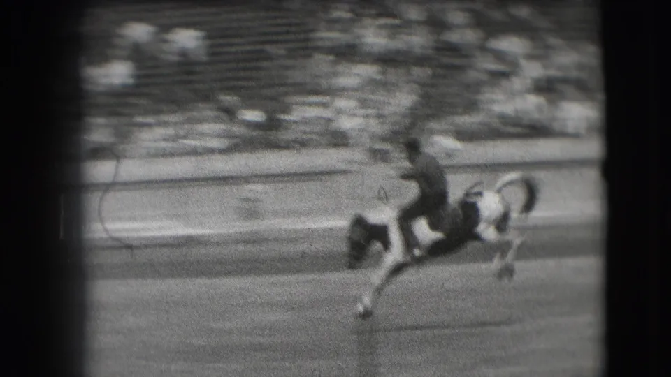 Near the end of the clip, the cowboy rides the pinto across the arena as the blurred bleachers remain in the background.