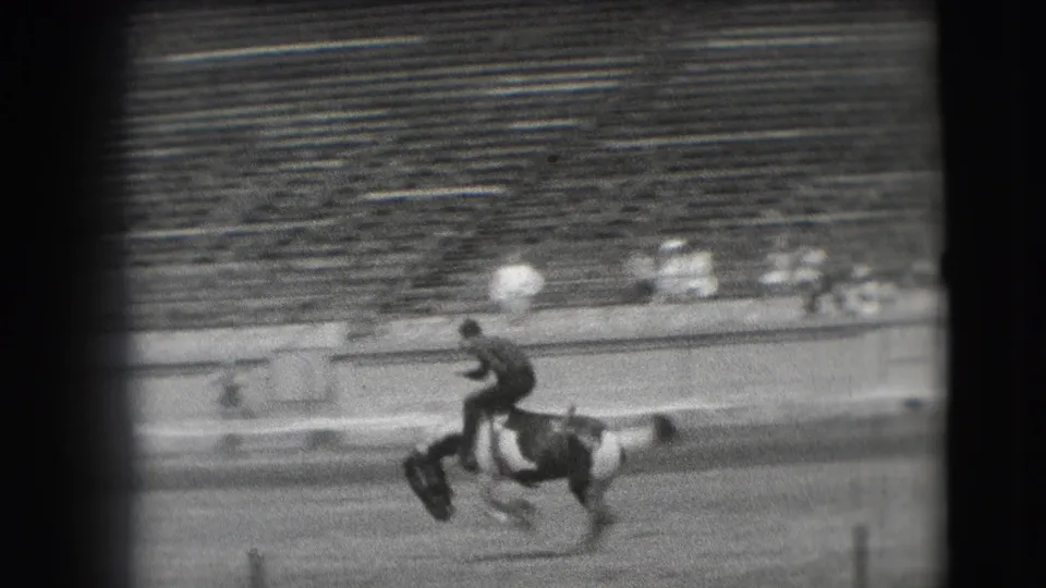 A cowboy appears to ride a bucking pinto horse across the Denver stadium arena, seen from a distant spectator angle.