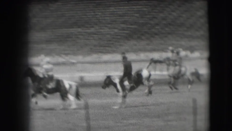 Two riders and several horses move through the Denver rodeo arena, with the action blurred by motion and distance.