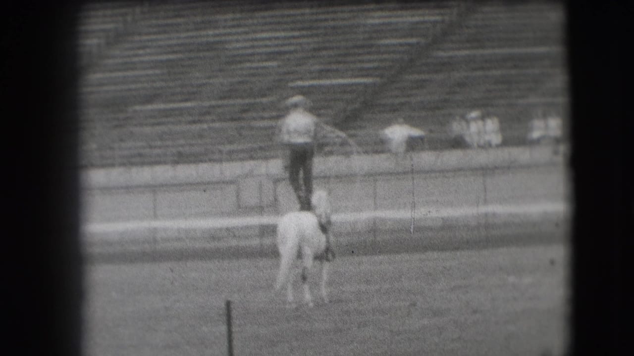 A rider stands on a white horse in a stadium field near distant spectators.