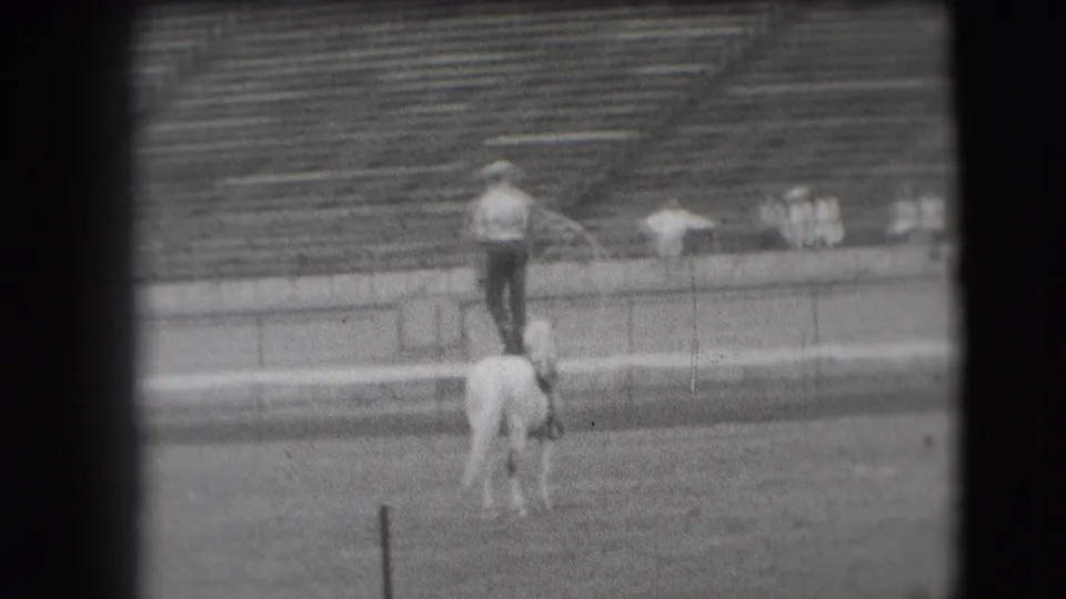 1941 Denver frame of a stunt rider standing on a white horse during stadium equestrian practice.