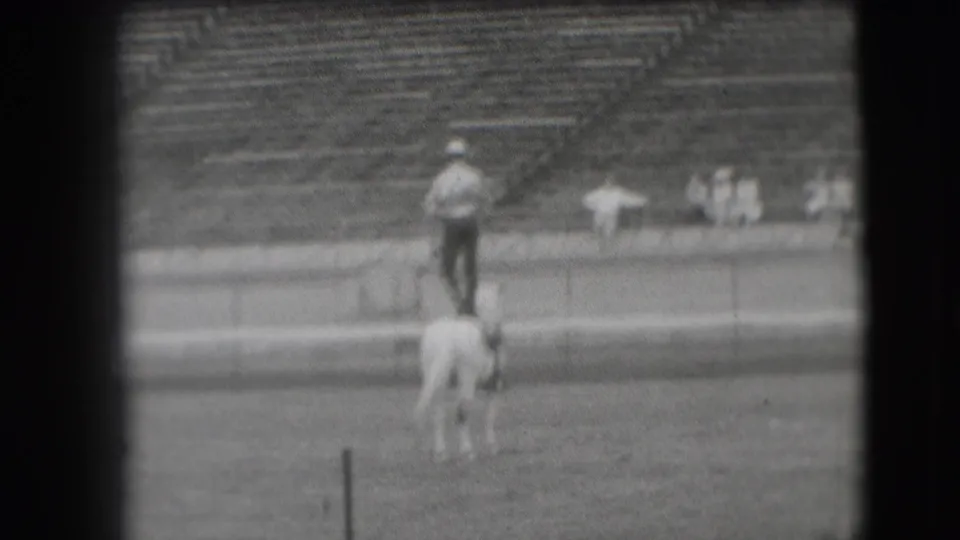 1941 Denver frame showing the stunt rider and white horse from behind, with empty stadium seating beyond.