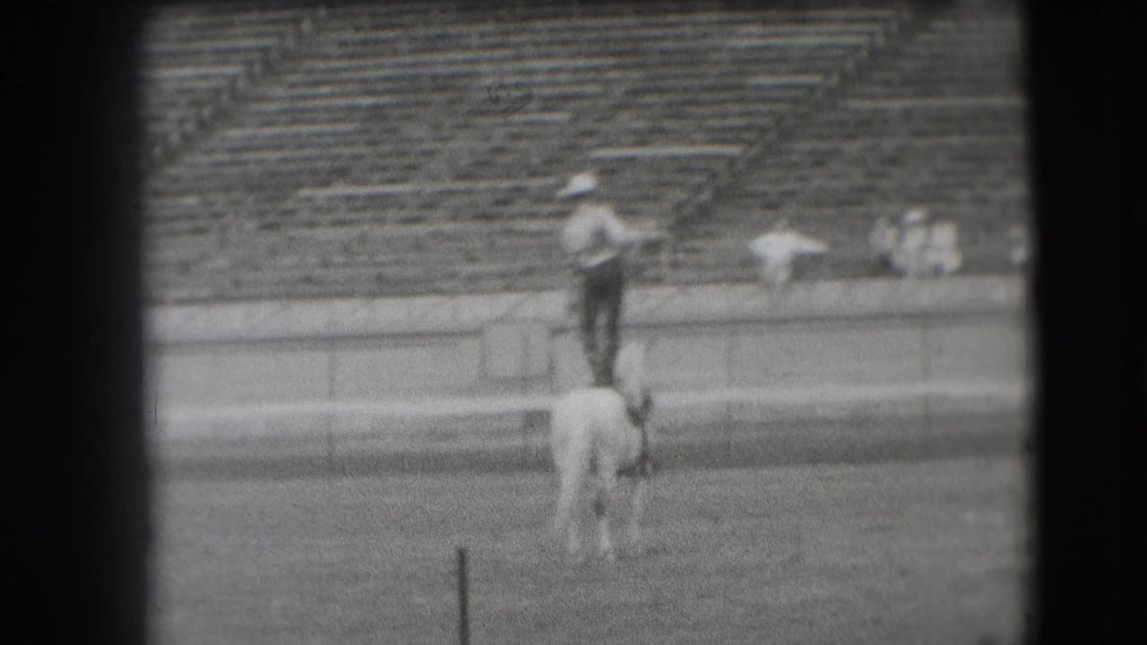 In the Denver stadium rodeo scene, the performer balances on a white horse as a rope extends from his hand.