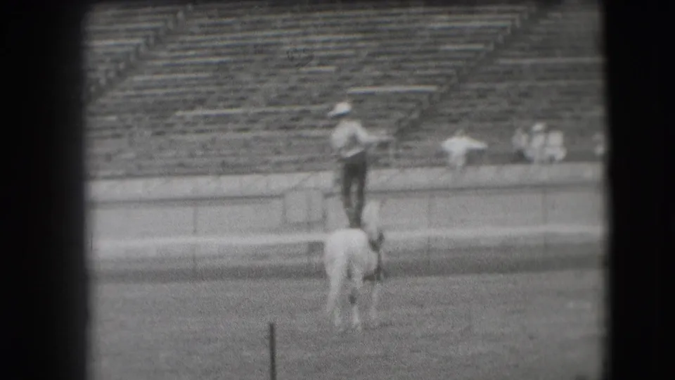 In the Denver stadium rodeo scene, the performer balances on a white horse as a rope extends from his hand.