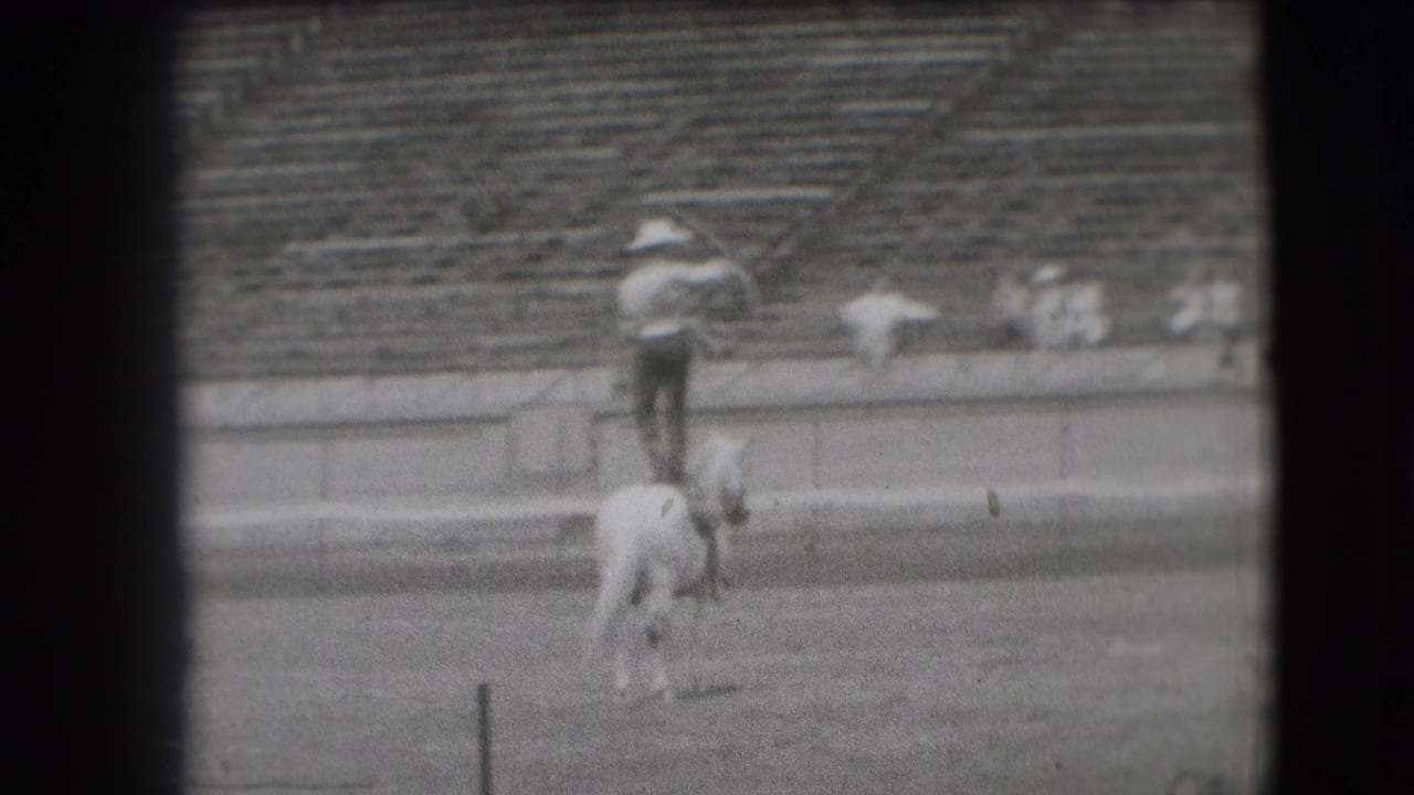 The Denver rodeo performer stands upright on a white horse, with a few distant spectators visible in the bleachers.