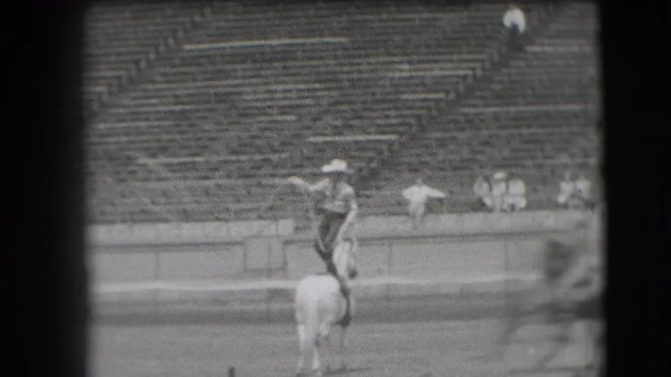 The cowboy remains upright on the horse as the lasso extends outward, with Denver arena seating in the background.