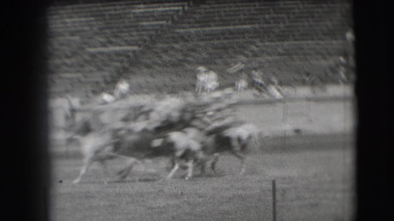Mounted riders racing across a stadium field with blurred bleachers behind them.