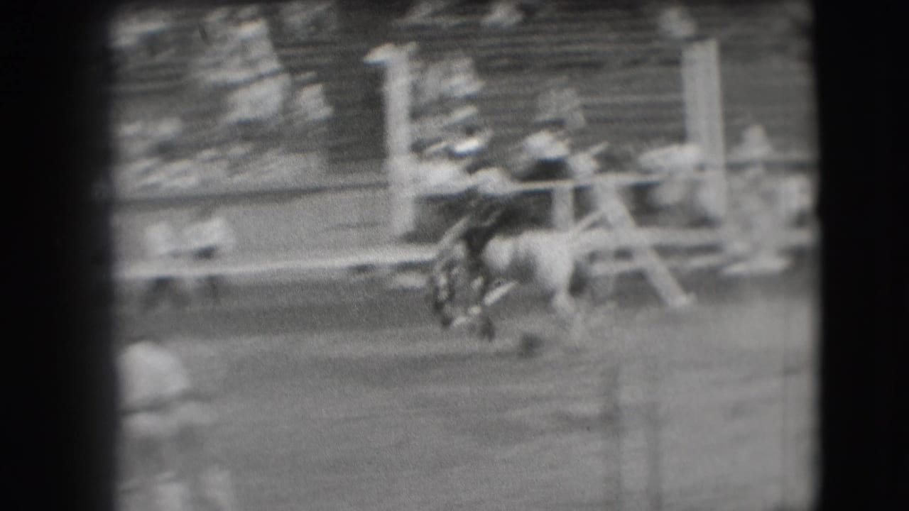 The horse bucks across the Denver rodeo arena as the rider leans forward, with spectators seated in bleachers behind them.