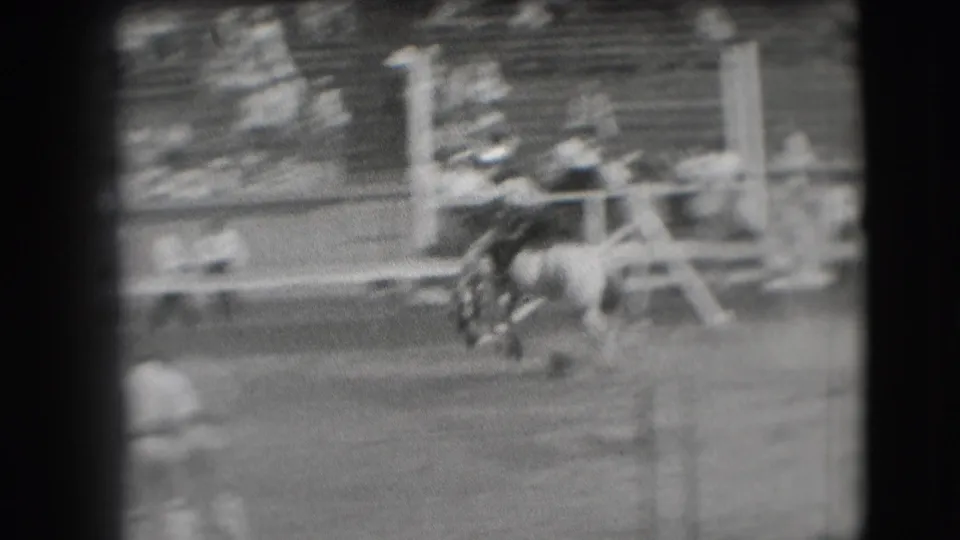 The horse bucks across the Denver rodeo arena as the rider leans forward, with spectators seated in bleachers behind them.