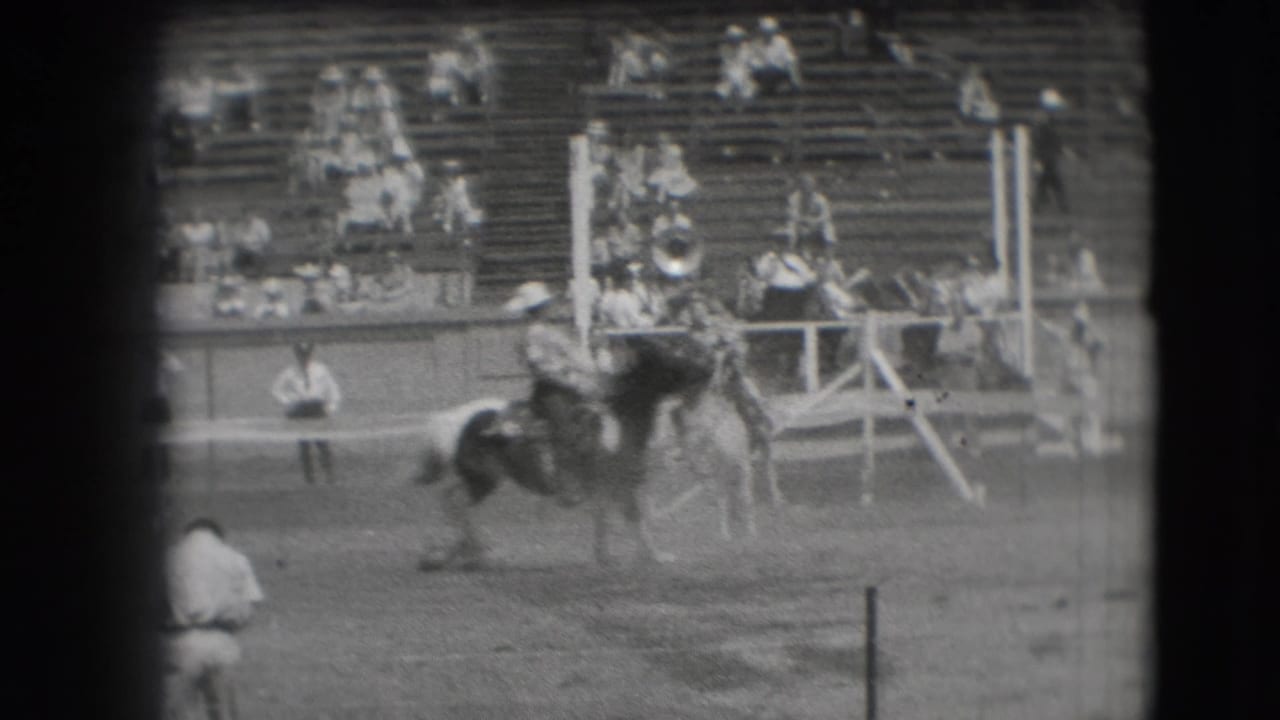 Horse and rider near the arena rail with spectators seated behind them.