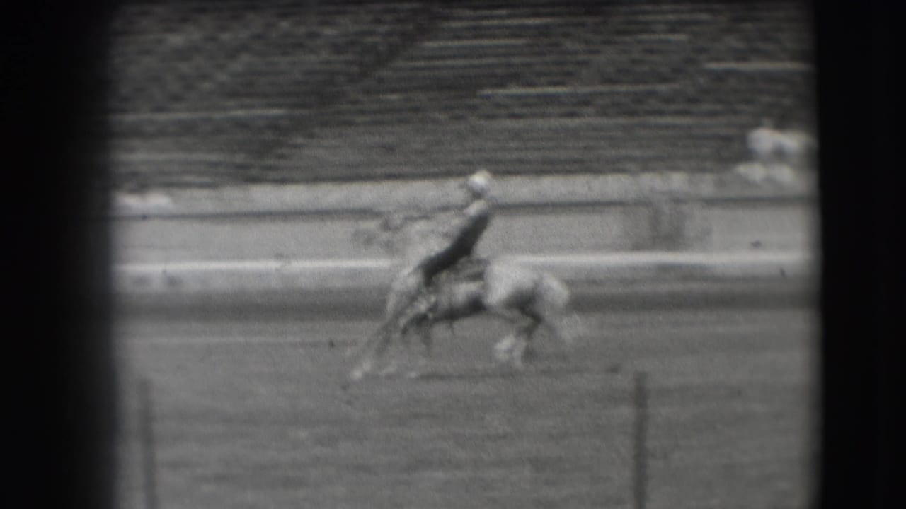 Rodeo rider leaning forward on a moving horse near the arena rail.
