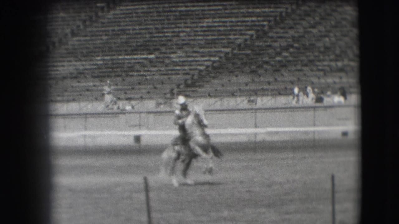 Rider on horseback near the center of a stadium field.