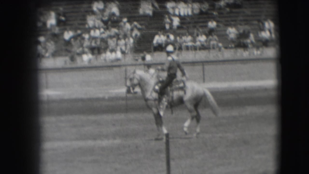 The rider guides the light-colored horse past the arena rail, with a Denver rodeo crowd visible in the background.