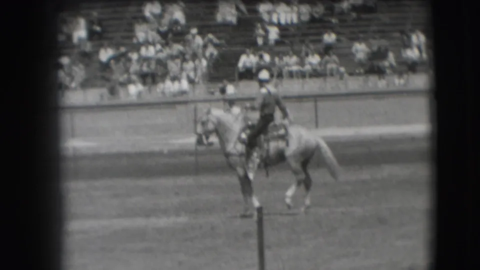 The rider guides the light-colored horse past the arena rail, with a Denver rodeo crowd visible in the background.