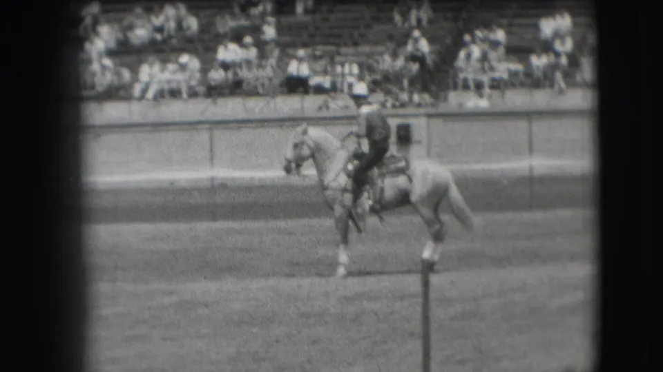 A rider in dark clothing and a light helmet sits on a light horse during the Denver equestrian show, with spectators in the stands.